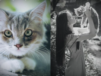 一位女子抱着一只小猫 旁边有一张猫的图片。