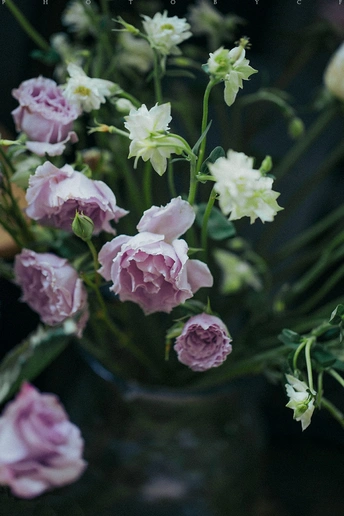 一只装满白色和粉色花朵和一些水的花瓶