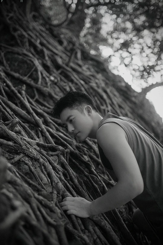 一个年轻人攀爬一堵根墙 抬头看着树的分枝。