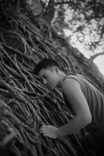 一个年轻人攀爬一堵根墙 抬头看着树的分枝。