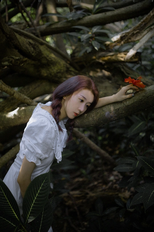 一位红发女子穿着白色裙子 手里拿着一朵红花 靠在树枝上在森林里