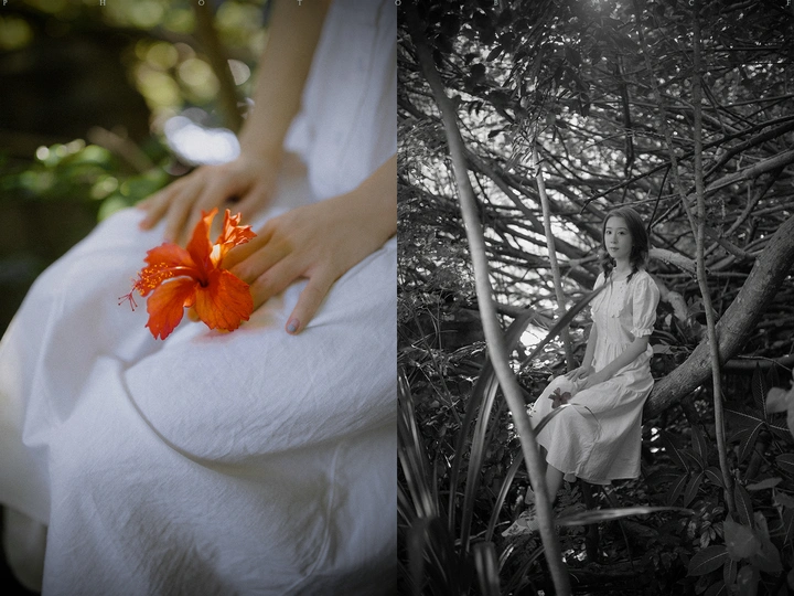 一位穿着白色连衣裙的年轻女子手里拿着一朵红花的树林中