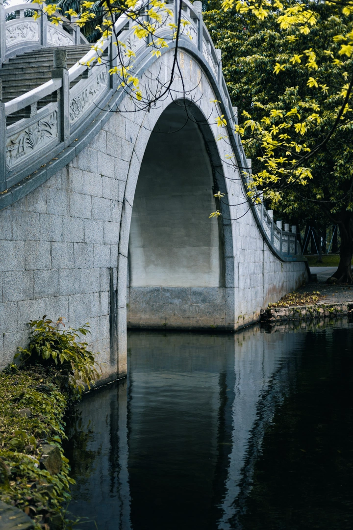 静静的园中桥与新叶