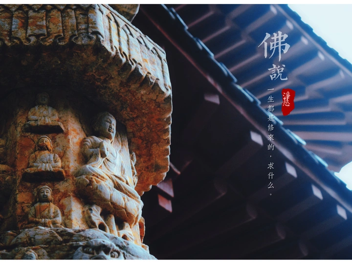 随手拍