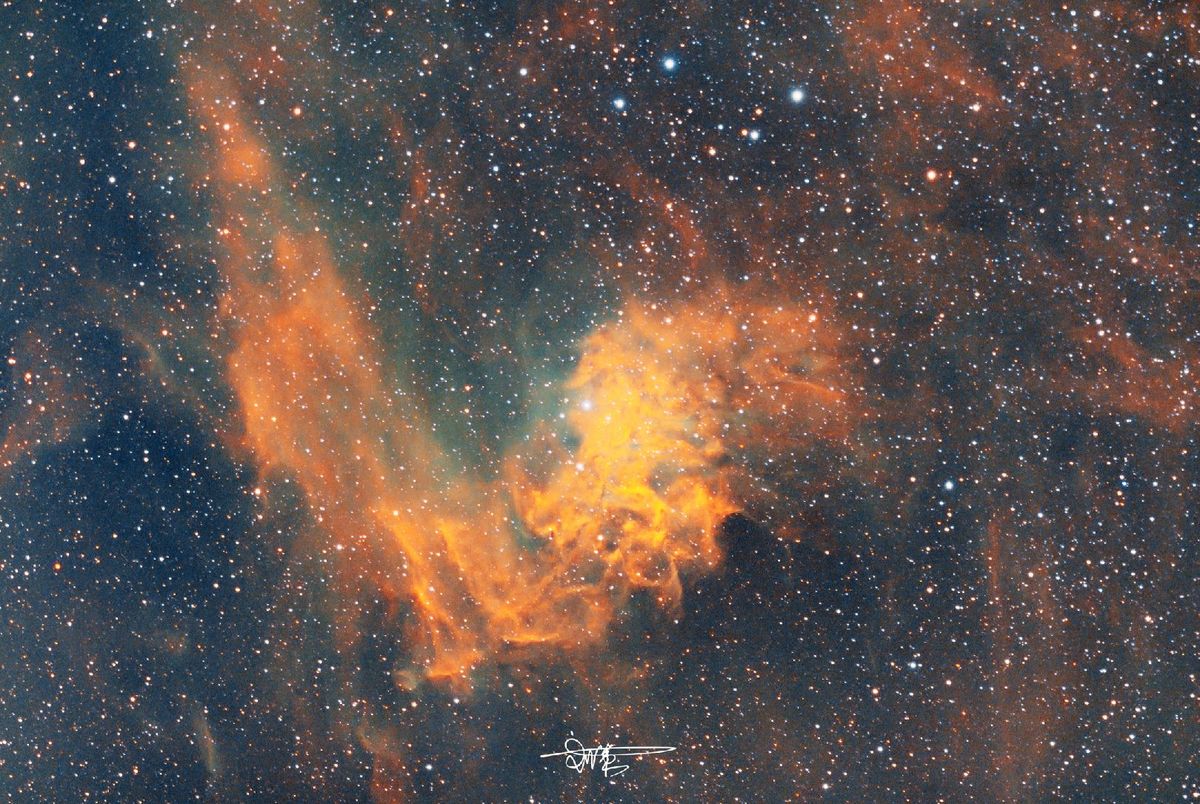 在哈勃空间望远镜的一张新图像中 一个正在形成的恒星区域出现在尘埃云的中心。