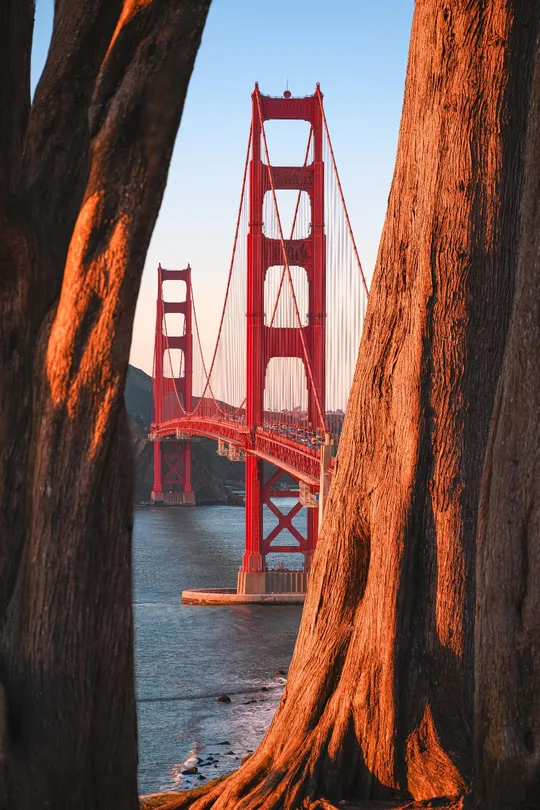 夕阳下的红桥 桥前有树。