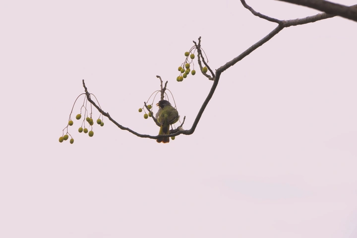 孤独并快乐