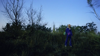 一个人站在一片草地上 天色渐晚 周围有树木。