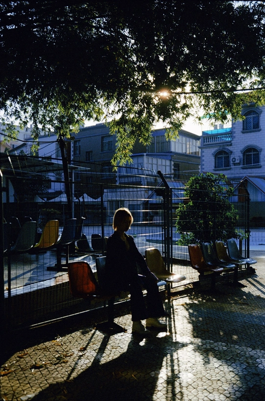 一个人坐在建筑前面的树荫下的长凳上