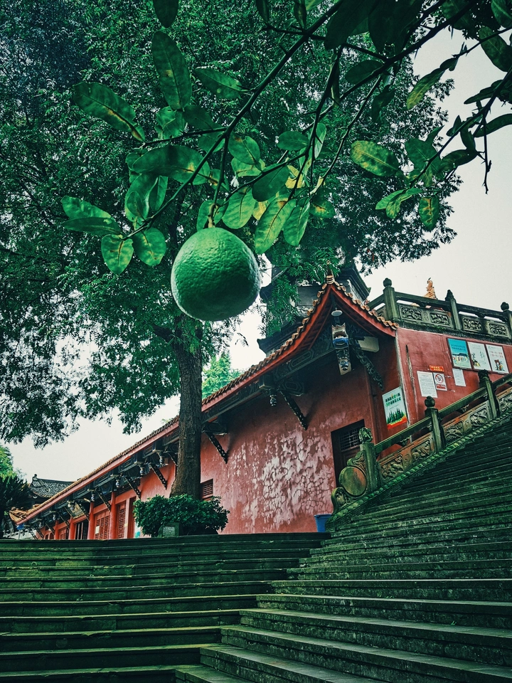 善果