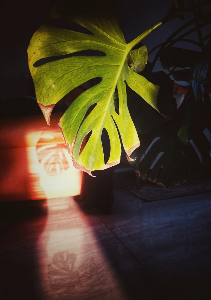 那一束光