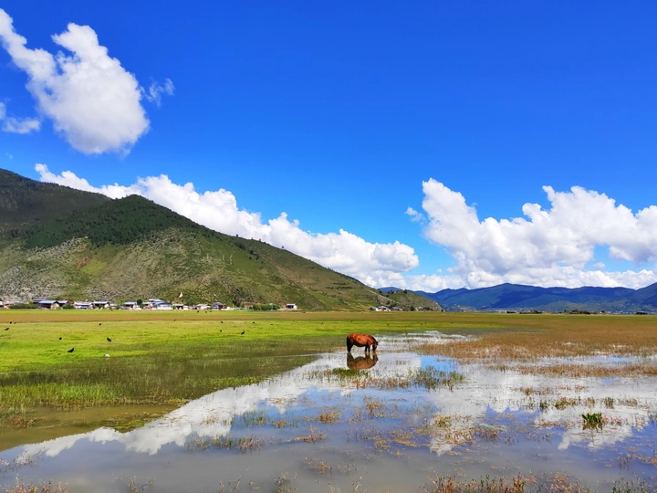 香格里拉·纳帕海
