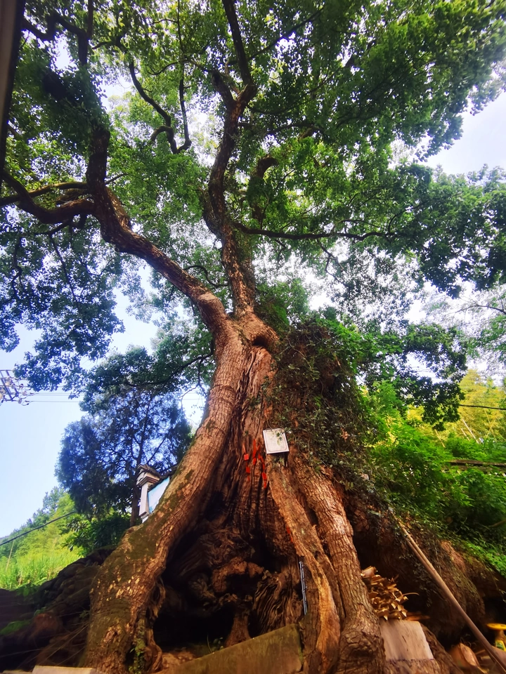 浙江兰溪芝堰古村