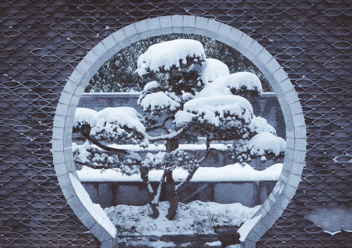 2021初雪