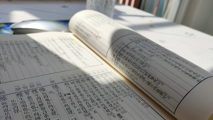 阳光正好