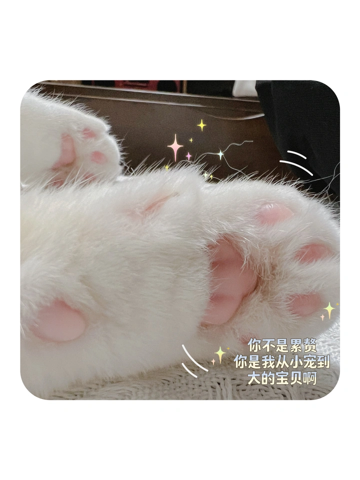 13Pro的微距似乎不错