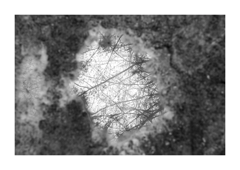 一张黑白图像 展示了一个混凝土墙壁上的洞