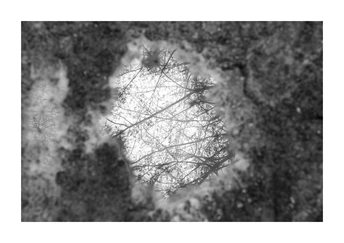 一张黑白图像 展示了一个混凝土墙壁上的洞