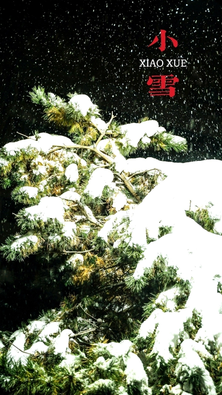 小雪至，冬使俏