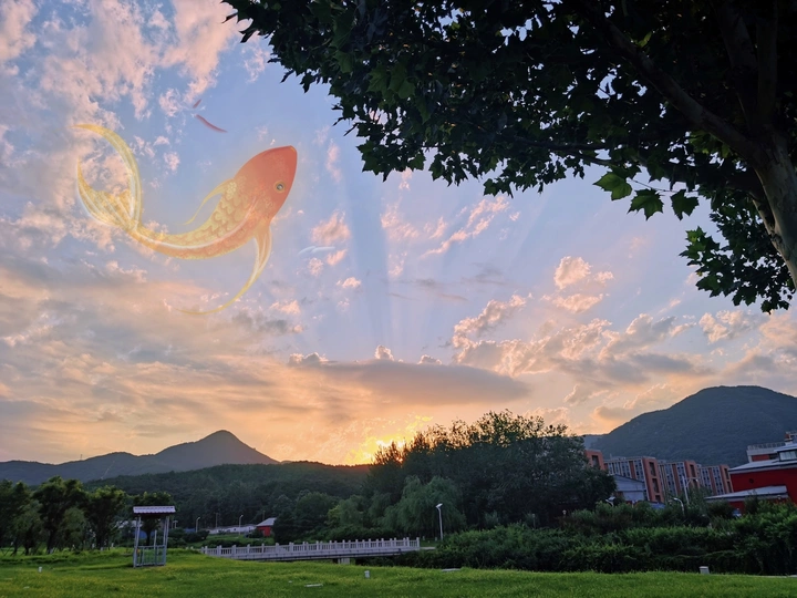 遨游