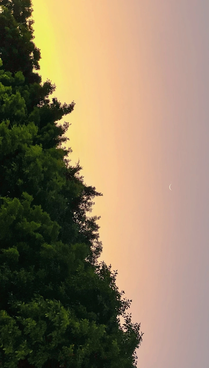 梦幻