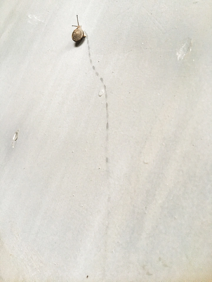 孤独的攀登者