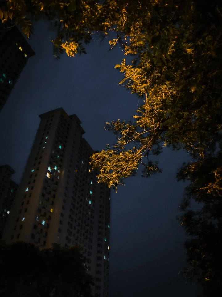 夜色