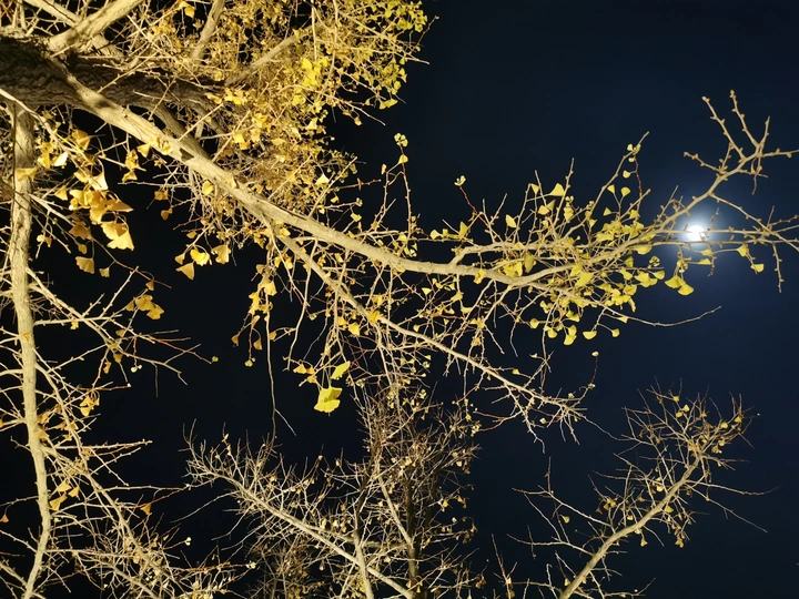 七八个星天外