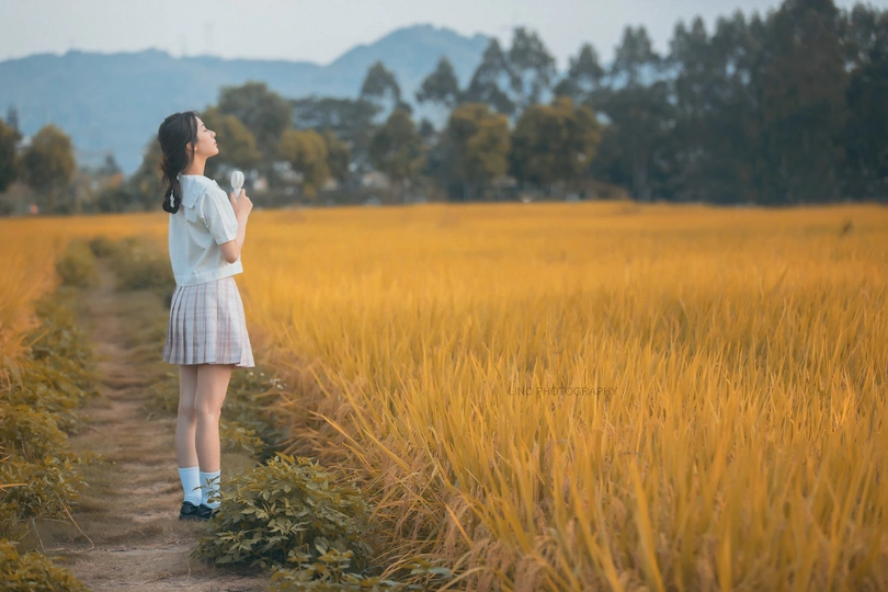 一位穿着连衣裙的年轻女子站在一片黄色的田野小径上