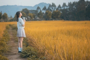 一位穿着连衣裙的年轻女子站在一片黄色的田野小径上