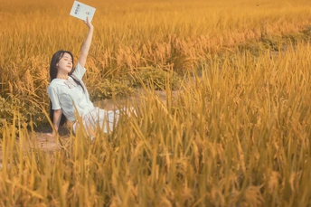 年轻美丽的女子坐在稻田里读书