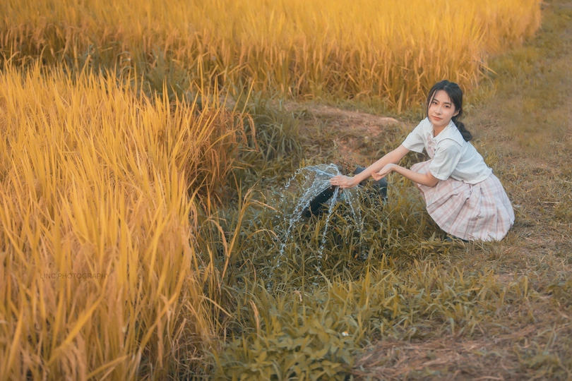 一个小女孩坐在茂密的草地上