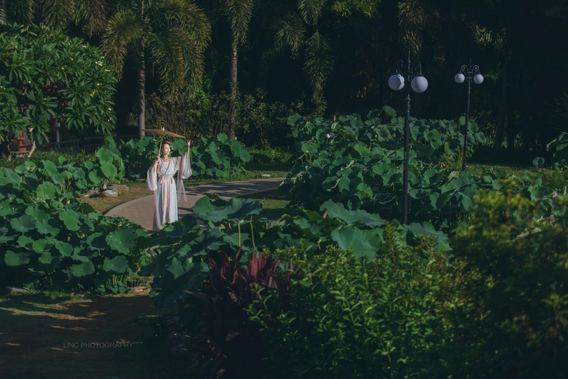 一位穿白衣的女子穿过一个植物花园。