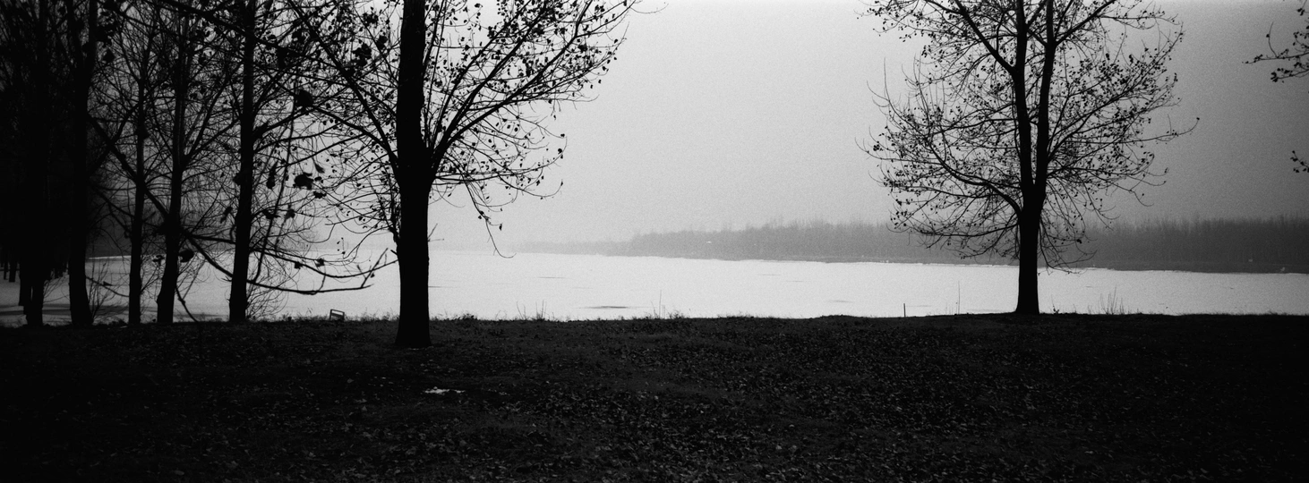前景有树木的黑白色湖泊