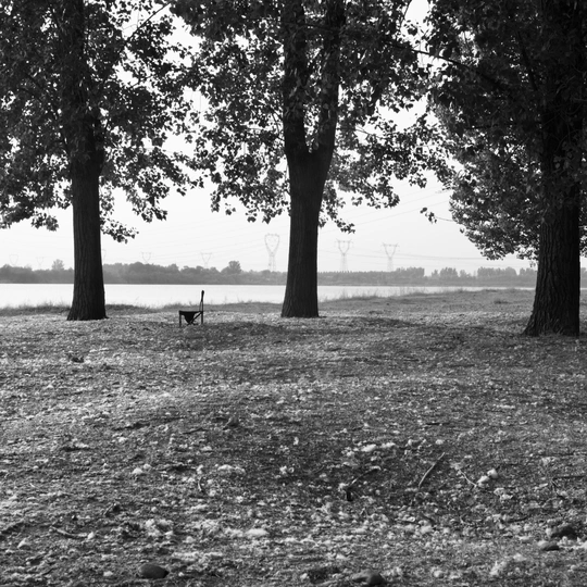 空荡荡的公园 有树、长凳、狗和猫在远处走 远处有湖。