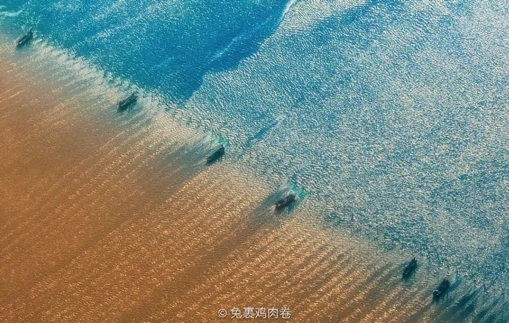 抓捕