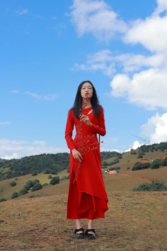 一位穿着红色大衣的女人站在一片蓝天下 田野中。