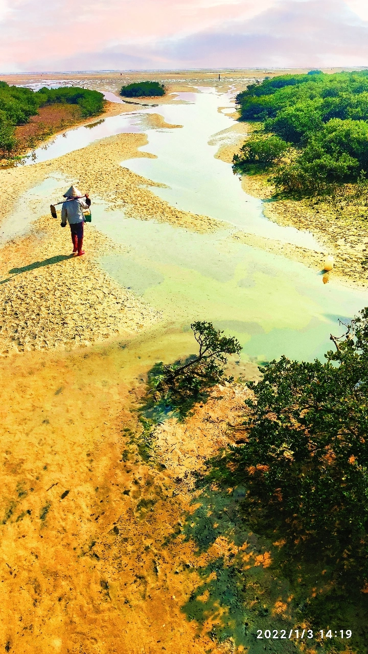 赶海