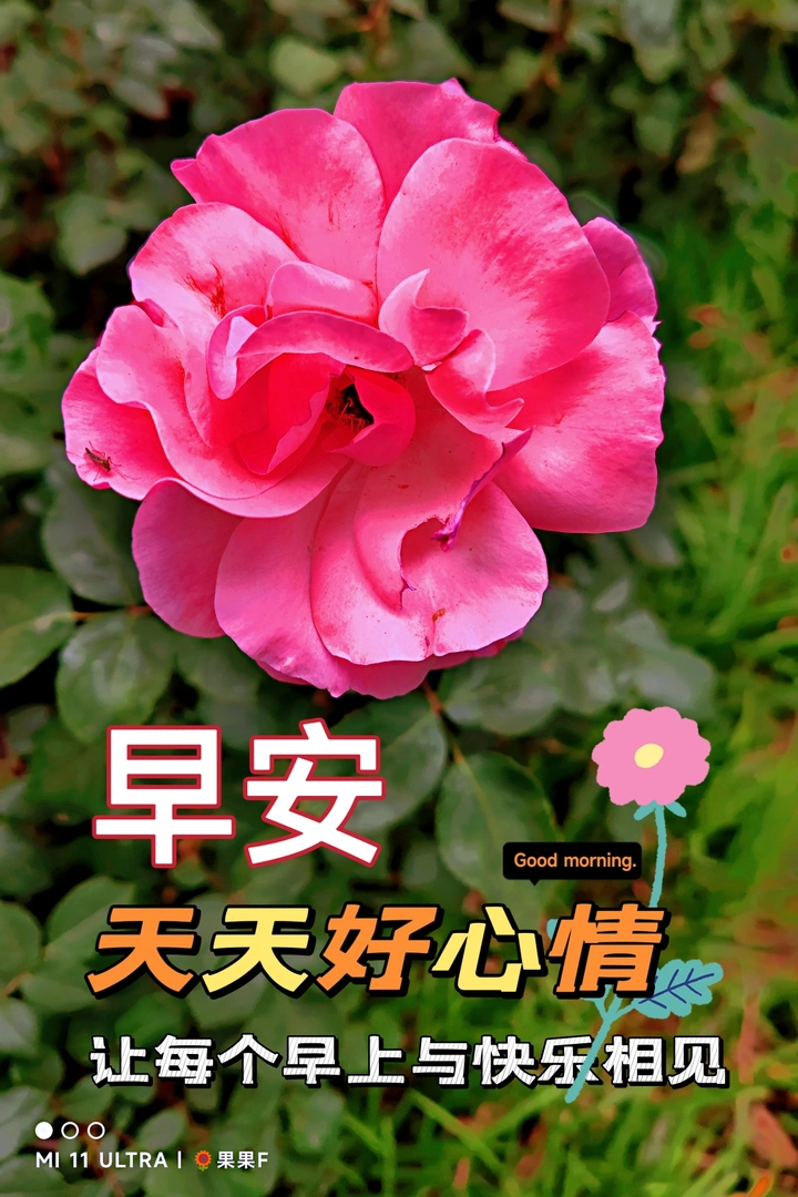 每天好心情