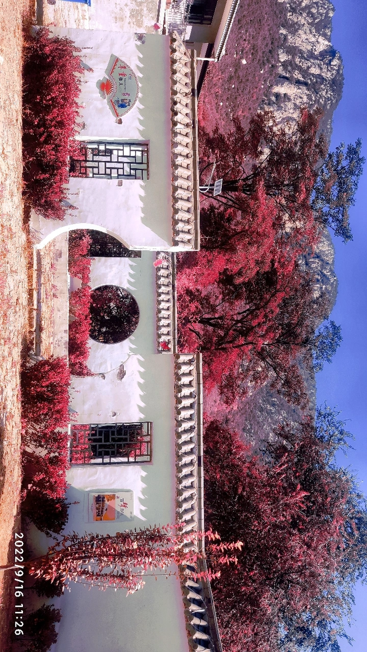 秋到山村红