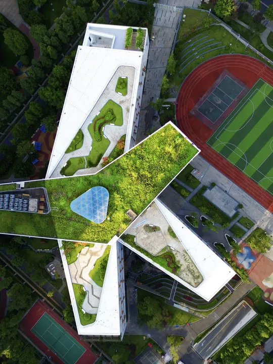 城市中的一栋建筑上的绿色屋顶