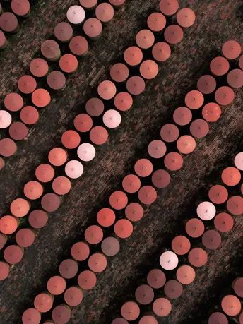 地板上布满了蜡烛的圆圈。