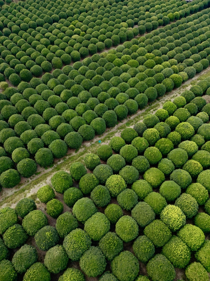 秘境小森林🌲