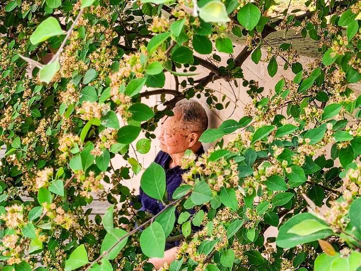 享受午后时光的老人