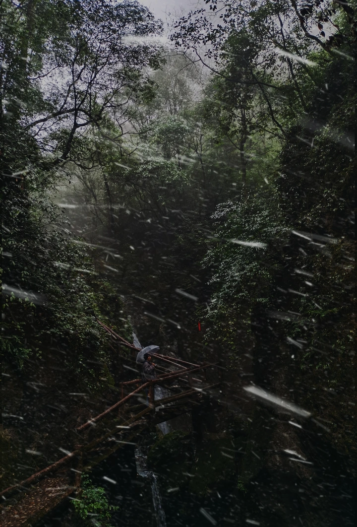 我等风雪又一年