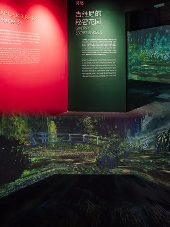 博物馆里的展品图片