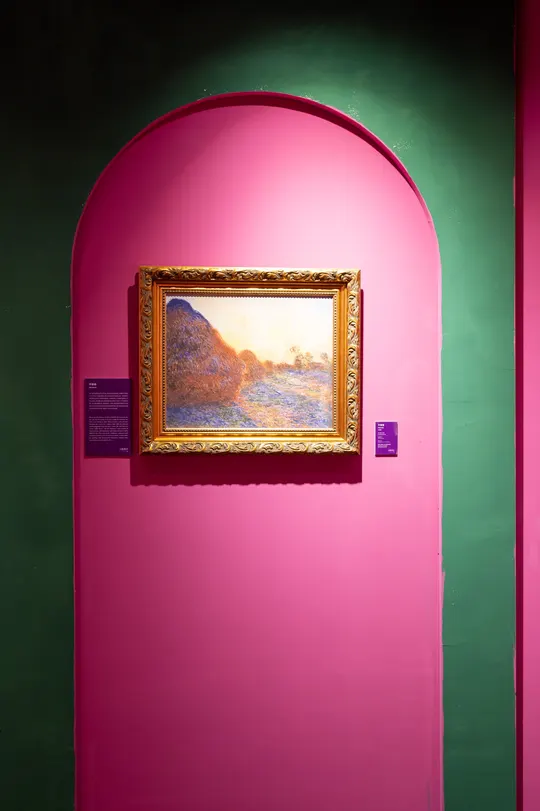 一张粉红色的门在绿色的房间里