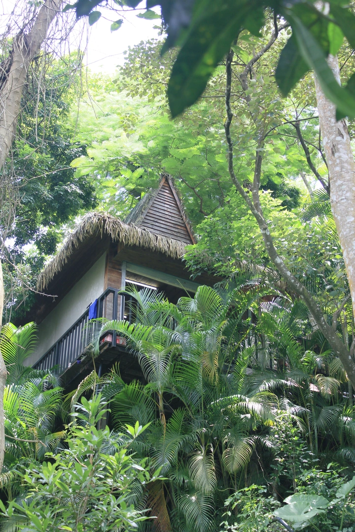 雨林小屋