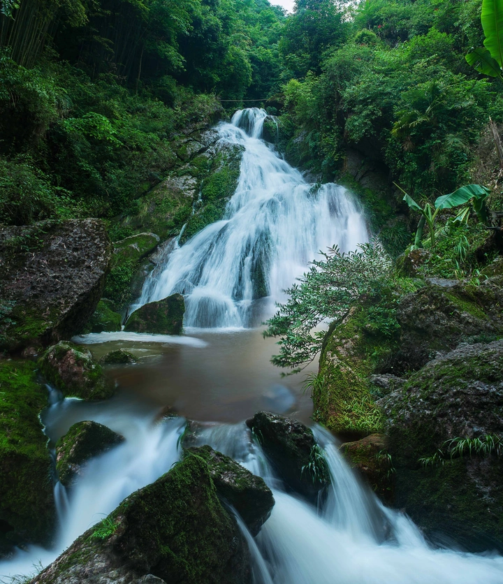 森林流水