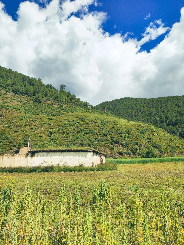 香格里拉味道